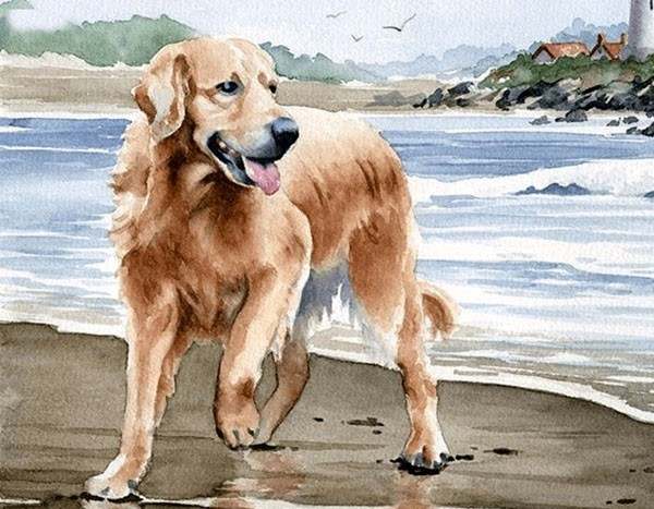 Số may mắn tuổi Tuất