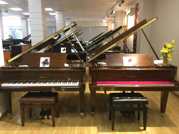 Nhìn thấy cây đàn có con số gì may mắn