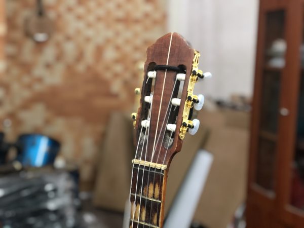 Nhìn thấy cây đàn có bí ẩn gì?