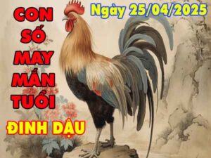 Con số may mắn tuổi Đinh Dậu ngày 25/4/2025 thứ 6 hôm nay