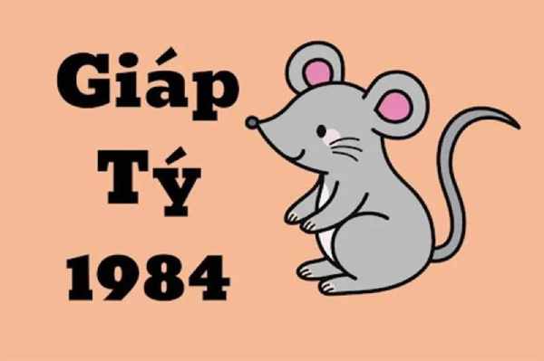 tuổi giáp tý 1984 hợp với con số nào