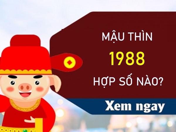 Mậu Thìn 1988 hợp số nào giúp ăn nên làm ra?