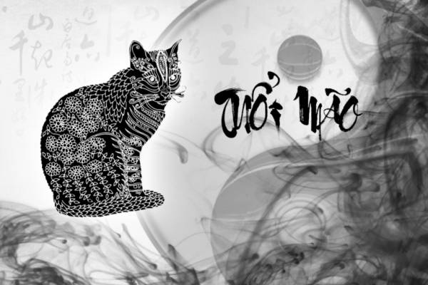 Vận trình tử vi tuổi Mão 17/8/2025